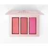 BH Cosmetics Mrs. Bella ROSY 3 Shade Blush Palette BRAND