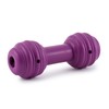 PetSafe Busy Buddy Chuckle, Interactive Treat Dispensing Dog Toy, Chew