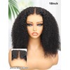 ORIGINAL QUEEN OQ Hair Afro Kinky Curly Wig Wear and