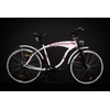 Bike Decoration Set Sticker Frame Decal Sticker MC Kenzie Label