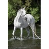 Hunters Saddlery Knotenhalfter für Pferde kompatibel mit Parelli Natural Horsemanship
