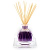 AGRARIA Lavender & Rosemary Scented AirEssence Diffuser, 7.4 Ounces with