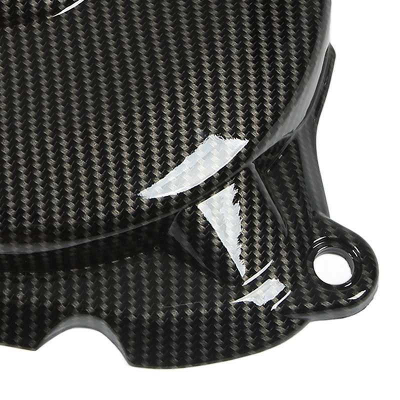 Motorcycle Engine Cylinder Guard Carbon Fiber Style Replacement for F900XR