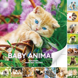 Super Cute 18 Month Baby Animals Wall Calendar 2025-2026. Big 12x12 Inch Novelty Gift With Puppies, Kittens and More. Great for Men, Women or Kids. Perfect Stocking Stuffer or Decor for Animal Lovers.