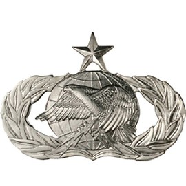 Uniform Accessories Unlimited Inc Air Force Logistics Dress Brite Badges (Full Size, Senior)