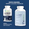 Wellthy Glicinato Magnesio 300 Cápsulas 432mg 100 Natural Puro Alta