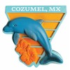 Cozumel Mexico Beach Souvenir Hand Painted Resin Dolphin Refrigerator Magnet