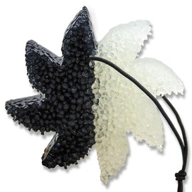 Icy Black Scented Lone Star Candles and More's Premium 2-Color Sun Burst Freshie, A Uniquely Masculine and Earthy Blend of Light Musk and Ozonic Notes, Car Freshener, USA Made