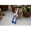 Royal Horticultural Society Burgon & Ball British Meadow Flower and