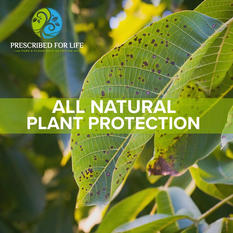 Prescribed for Life Potassium Bicarbonate Powder, Pure USP & Food