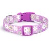 Moonpet Dog Collars for Puppy X-Small Small Medium Large Dogs
