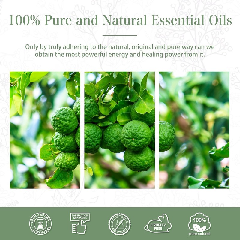 PHATOIL Bergamot 3.4 fl oz (100 ml) Essential Oil Aroma