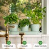 Herb Planter Indoor | Grow Fresh Herbs At Home |
