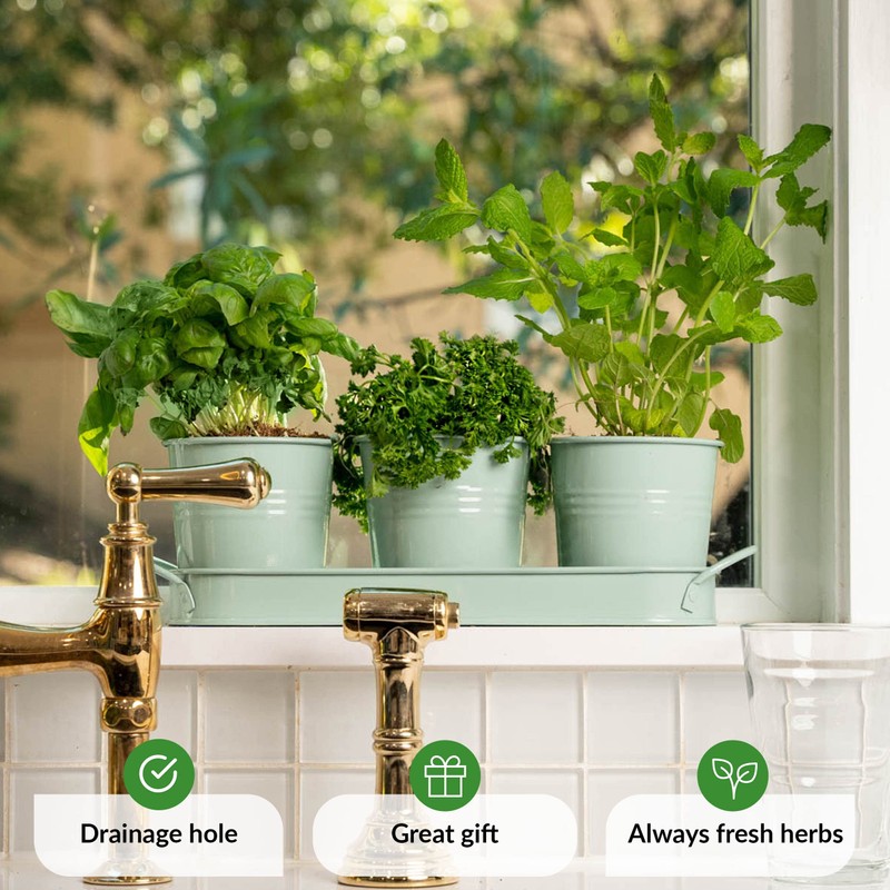 Herb Planter Indoor | Grow Fresh Herbs At Home |