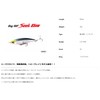 Duo Bay RUF Seek 85HW CSH0776 UV Clear Flash
