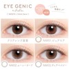 EYEGENIC(アイジェニック) by evercolor (エバーカラー) 1ヵ月/1枚入り (度あり) 【スリークブラウン】 -2.50