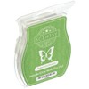 Scentsy Bar (Peppermint Dreams)