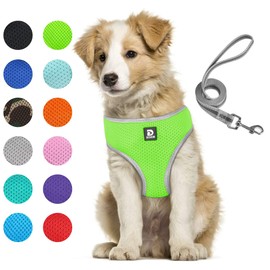 Puppy Harness and Leash Set - Dog Vest Harness for Small Dogs Medium Dogs- Adjustable Reflective Step in Harness for Dogs - Soft Mesh Comfort Fit No Pull No Choke (L, Light Green)