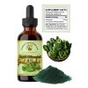 Creator's Touch Supplements Liquid Chlorophyll 2oz – Detox & Energy