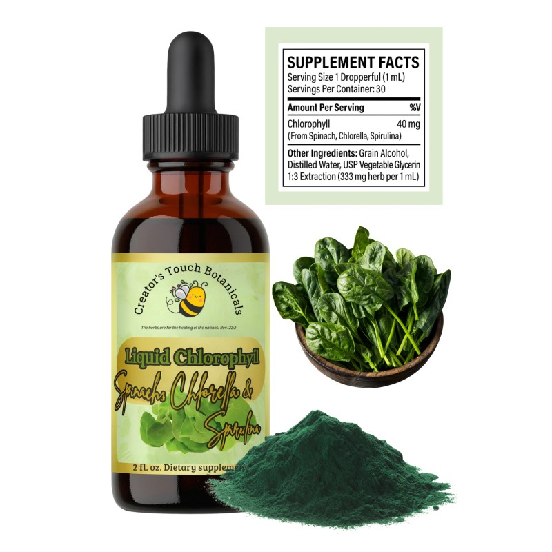 Creator's Touch Supplements Liquid Chlorophyll 2oz – Detox & Energy