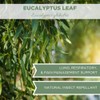 Organic Eucalyptus Leaf Tea 4 oz. (113g), USDA Organic Eucalyptus
