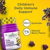Zarbee's Zarbee's Children's Daily Immune Support Gummies with Real Elderberry