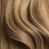 Bronde Balayage Single Hair Color Sample