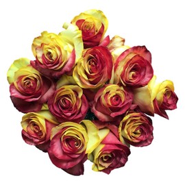 Fresh Cut Tinted Red and Yellow Roses from Flower Explosion -12 Stems