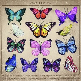 20 Napkins Collection of Butterflies | Animals | Collection | Table Decoration 33 x 33 cm