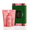 Aveda Nutriplenish™ Hydrating Essentials Light Moisture Set