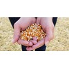 Preferred Popcorn Organic Popcorn, 28 Ounce bag, Pack of 4,