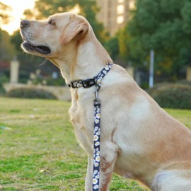 Olahibi Dog Collar and Leash Set, Cute Daisy Pattern, Polyester Material, 5ft Leash, for Medium Dogs.(Medium,Black Daisy)