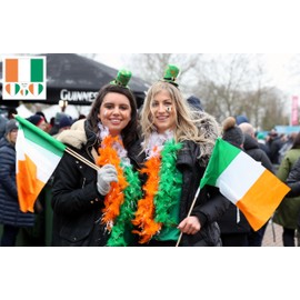 Irish Flag Tattoos,10 Sheets St. Patrick's Day Temporary Tattoos,40 Pcs Waterproof Sweat Sports National Flag Removable Fake Tattoos For Men Kids Women(Ireland)
