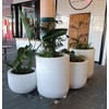 YUjieSTC Plant Stand with Wheels,3.0mm Thick Aluminum Alloy Plant Caddy