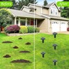 Mole Repellent Solar Powered, Waterproof Vole Chipmunk Repellent Outdoor,Ultrasonic Gopher