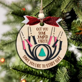 Funny Adult Christmas Ornaments, Unique for Family, Christmas Ornaments Bestfriend, Funny, Naughty Gag Gift for Adults (H1)