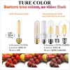 LiteHistory Dimmable E26 Edison Bulb 6W Equal 60 watt Light