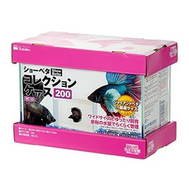 Suisaku Showbeta Collection Case 200 7.9 x 3.9 x 5.9 inches (20 x 10 x 15 cm)