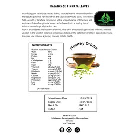 HERBS OF HEAVEN 200 Kalanchoe Pinnata Leaves Leaf Of Lives Miracale Plant Healthy Well Cleaned Dried Leaves Herbal Tea