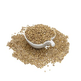 Trend Organic Pot Barley, Whole Grain Goodness in Every Bite, Rich in Protein & Fibre, Sustainably Sourced, Certified Organic, Vegan, Non-GMO, No Additives No Preservatives, Raw, 500g