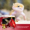 KOHEOPT Infrared Heat Lamp 100W,（2 Pack） Reptile Heat Emitter Infrared