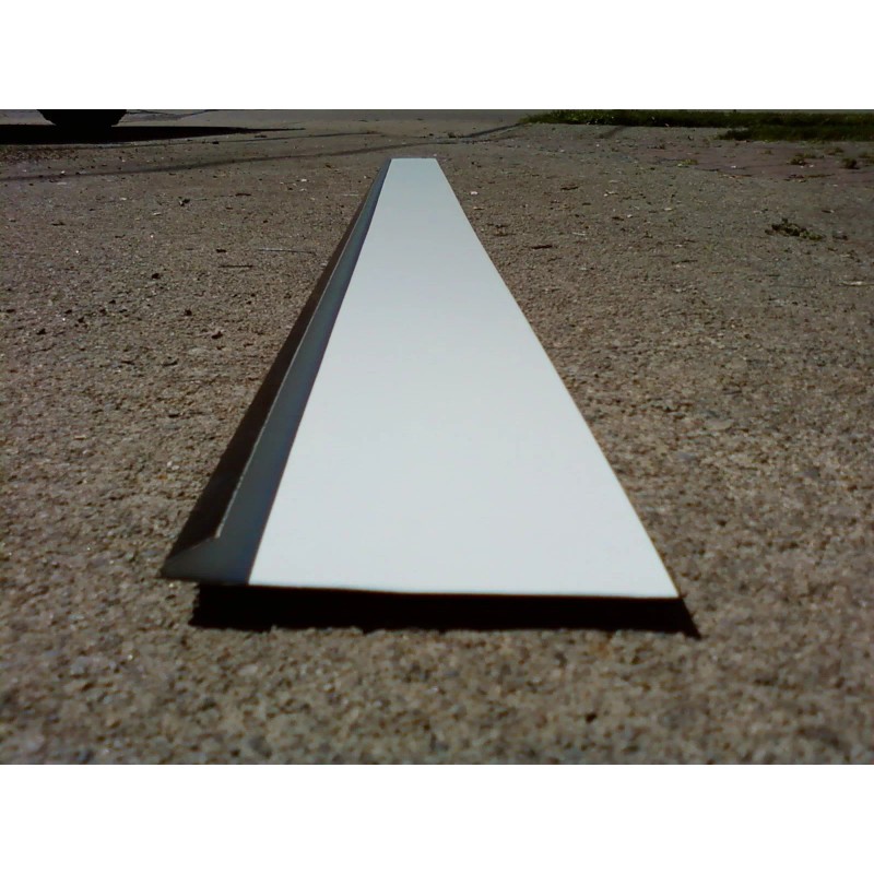 RustRepairPanel.com DODGE RAM TAILGATE RUST REPAIR PANEL 2002-2008