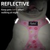 PUPTECK Dog Harness and Leash Set for Small Medium Dogs