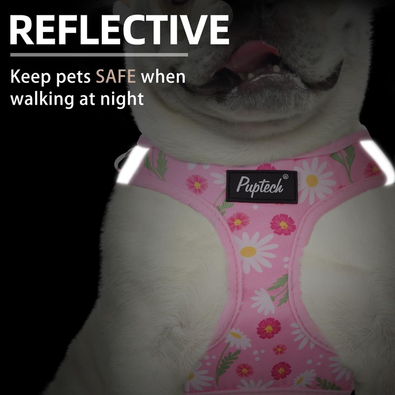 PUPTECK Dog Harness and Leash Set for Small Medium Dogs