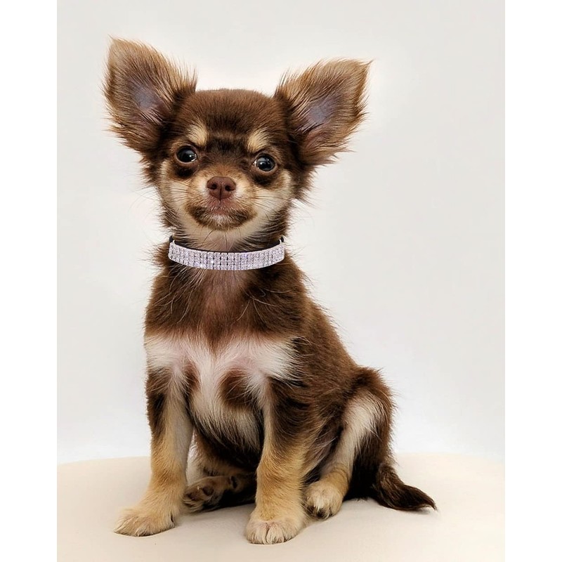 THAIN Rhinestones Cat Dog Collar Soft Velvet Safe Adjustable Collar
