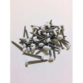 HARDWARE FOR YOU LTD 1 X Pack 25 Polymer Headed Nail Pin - White 25mm Stainless Steel Pin Fixings