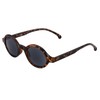 I-Sential Round Reading Sunglasses Tortoise Brown Frame Smoke Black UV400