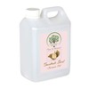 RADANYA Ayurveda RADANYA Ayurveda Baobab Seed Carrier Oil 100% Pure