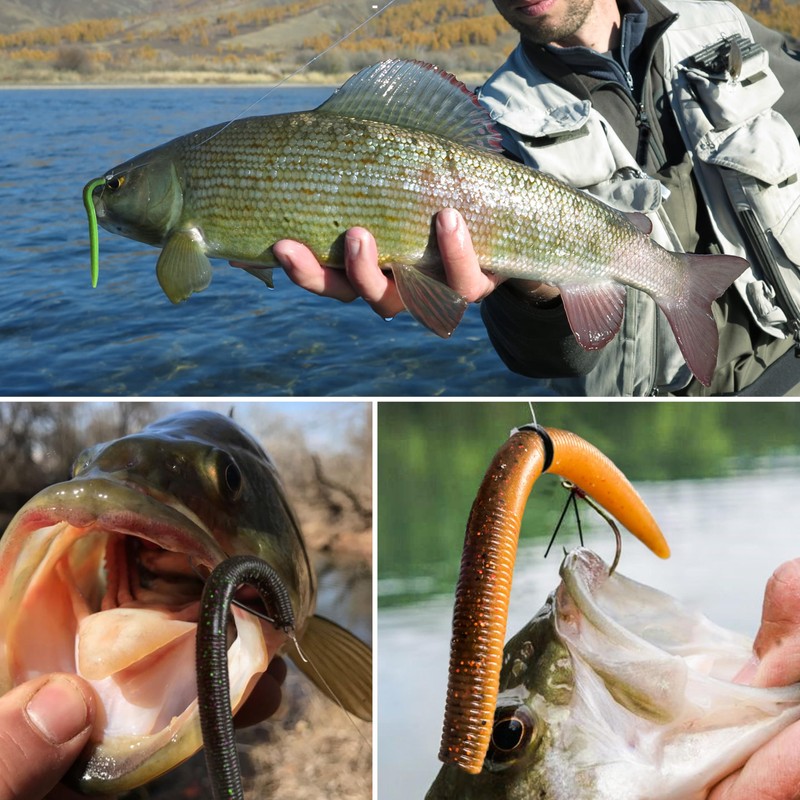Soft Fishing Worm 100PCS, 3/4/5/6" Mega Value Pack Senko Style