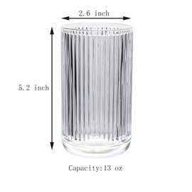 Gaolinci 2 Pcs Glass Tumbler Cup,Toothbrush Holder, Bathroom Cups, 13 oz